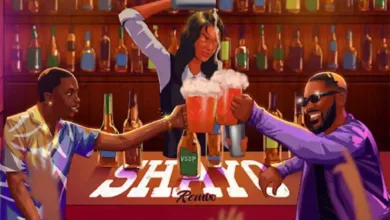 Priesst - Shayo (Remix) Ft. Adekunle Gold (Mp3 Download)
