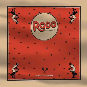 Adekunle Gold - Rodo | MP3 Audio Download
