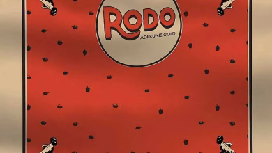 Adekunle Gold - Rodo | MP3 Audio Download