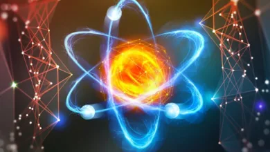 Why Energy Is Life: The Power Behind Every Move We Make