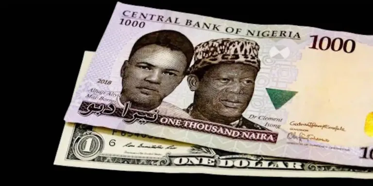Naira Falls Again - Now N1,612 per Dollar in Official Market