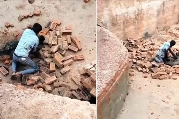 Drama as Man Fights Off Leopard with Bare Hands at Worksite in India (Video)