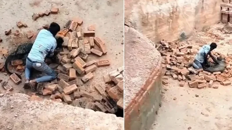 Drama as Man Fights Off Leopard with Bare Hands at Worksite in India (Video)