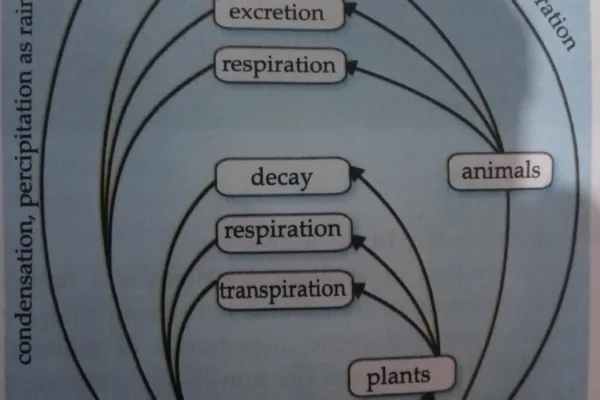 Understanding the Water Cycle: How Water Moves in a Circle