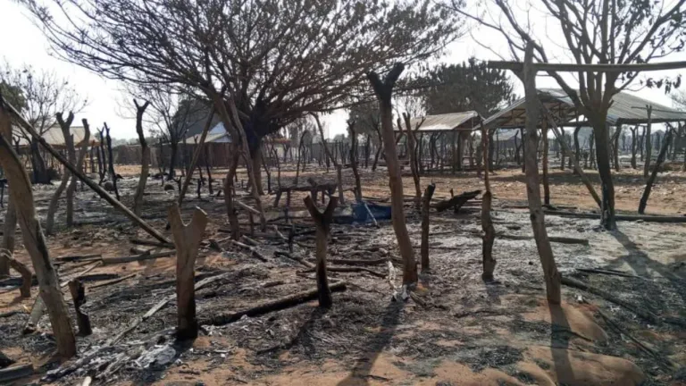 Over 30 Feared Dead as Bandits Storm Niger Community