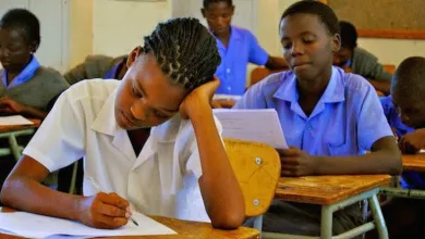 JAMB, WAEC & NECO Biology: 50 Questions on Natural Resources Conservation