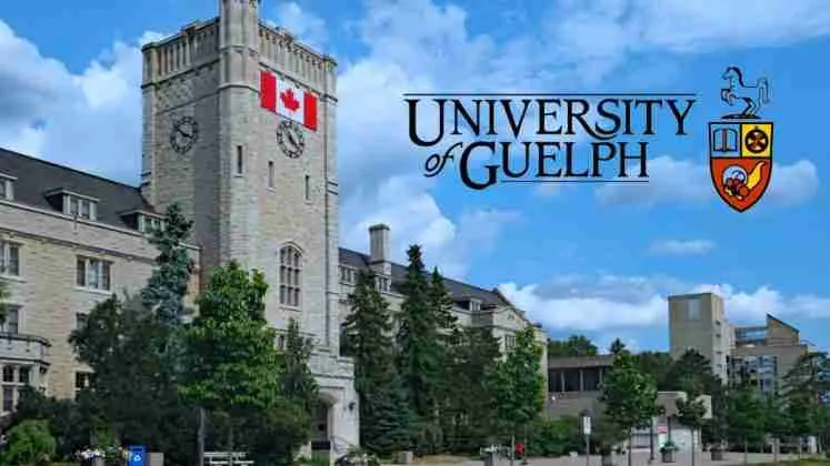 University of Guelph Scholarship in Canada 2026 | Fully Funded